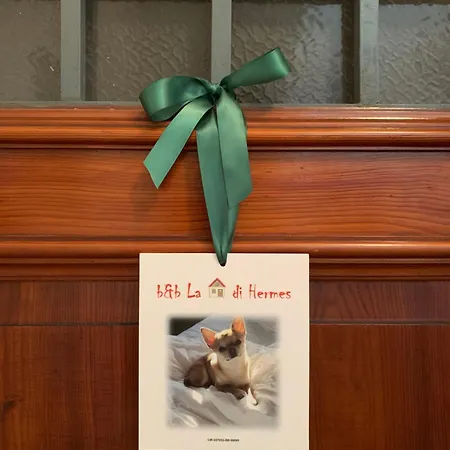 La Casa Di Hermes 3* إيمولا